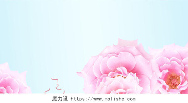 时尚粉色玫瑰服饰内衣衣服服装店宣传海报背景